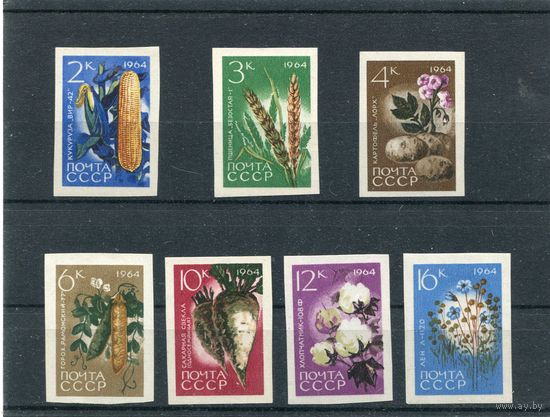 СССР 1964. Сельскохозяйственные культуры. Беззубцовка