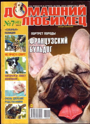 Домашний любимец #41