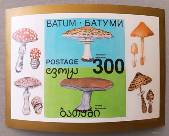 Ядовитые грибы. Грузия, блок