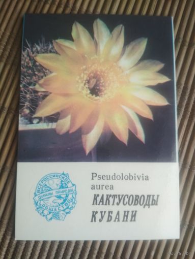 Карманный календарик.1985 год. Кактусоводы Кубани