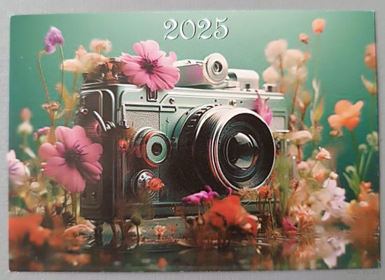 Фотоаппарат. Календарик, 2025