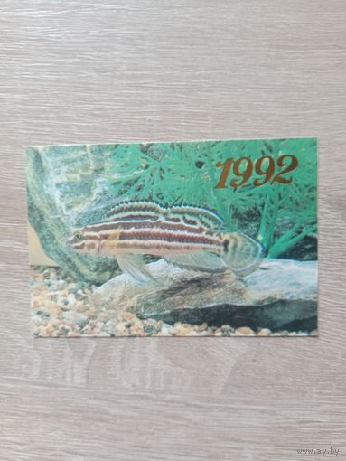 Календарик 1992