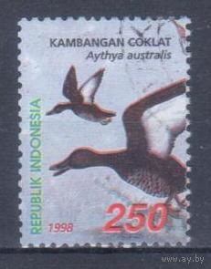 [260] Индонезия 1998. Фауна.Птицы.Утки. Гашеная марка.