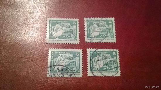Марка Берлинский Зоопарк 1974 год ГДР