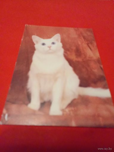 Календарик 1992г.