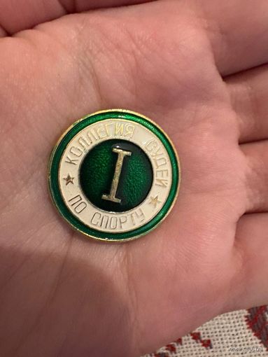 Коллегия судей по спорту