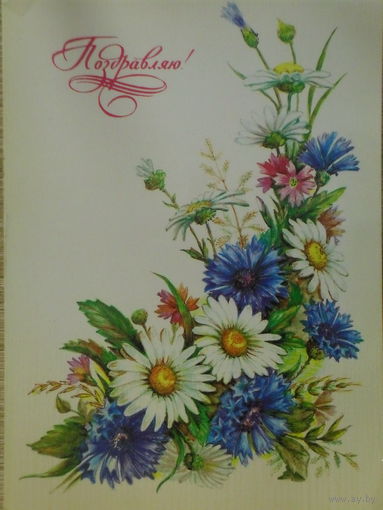 ЧИСТАЯ ОТКРЫТКА СССР.ПОЗДРАВЛЯЮ! худ. Л. БОДРИХИНА. 1984 год.