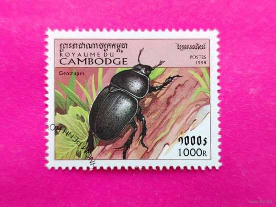 Камбоджа. Жуки. ( 1 марка ) 1998 года. 2-4.