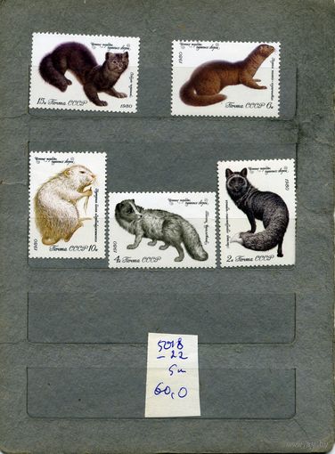 СССР, 1980, ПУШНЫЕ ЗВЕРИ ,  серия 5м ,  (справочно на "СКАНЕ" приведен цены и номера по Загорскому)