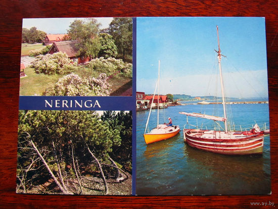 С006-3397 Открытка Neringa Неринга Фото Суткус 1981 Чистая
