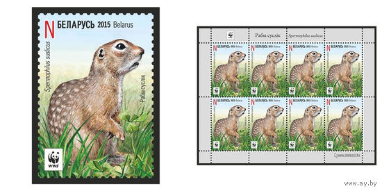 2015 БЕЛАРУСЬ   марка или малый лист  "Крапчатый суслик" MNH