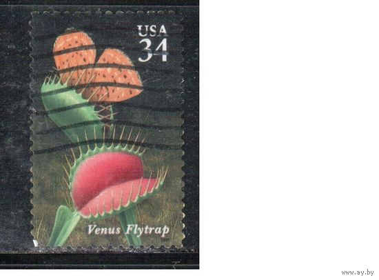 США-2001 (Мих.3483) ,  гаш., Цветы, Кактусы,