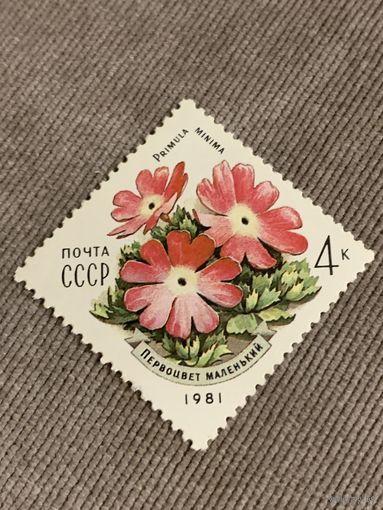 СССР 1981. Цветы. Первоцвет маленький. Марка из серии