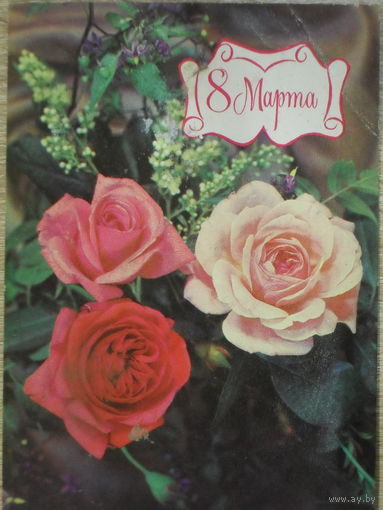 ПОДПИСАННАЯ ОТКРЫТКА СССР. ПРОШЕДШАЯ ПОЧТУ. "8 МАРТА". ФОТО. И. ДЕРГИЛЕВА. 1979 год.