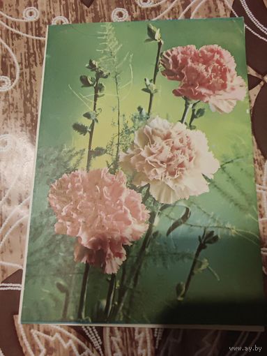 Открытка,телеграмма,подписана