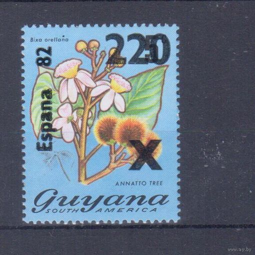 [843] Гайана 1981. Спорт.Футбол.Чемпионат мира.НАДПЕЧАТКА. Одиночный выпуск. MNH. Кат.10 е.
