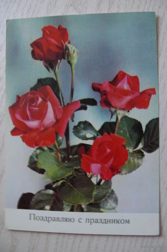 Поздравляю с праздником! 1974, чистая (ГДР).