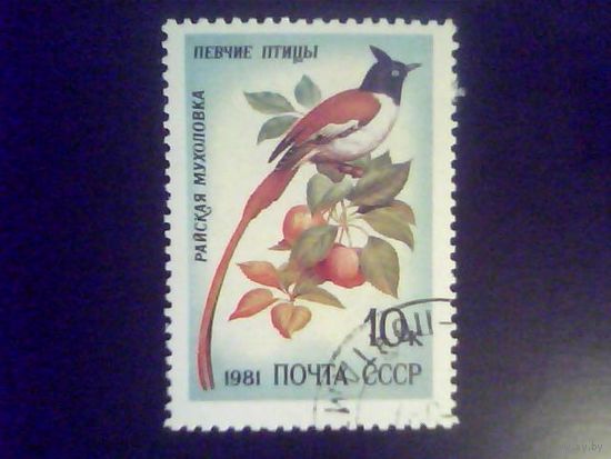 Марки.СССР 1981.