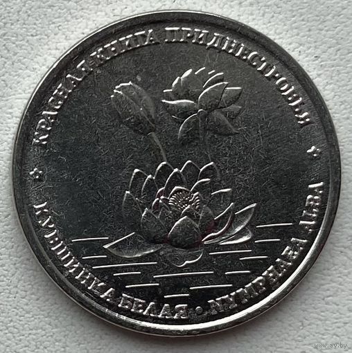 Приднестровье 1 рубль 2021 г. Кувшинка белая