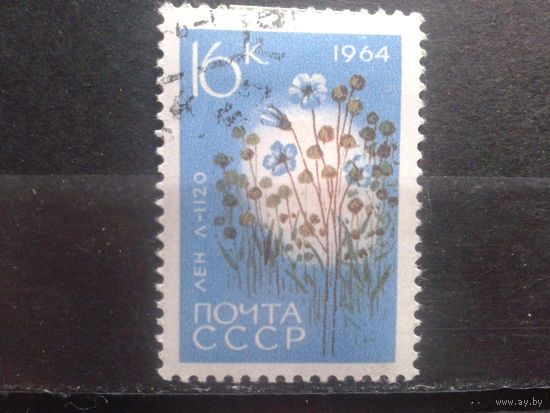 1964 Лен, концевая