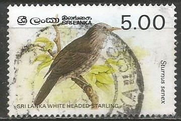 Шри Ланка. Птицы. Скворец. 1987г. Mi#790.