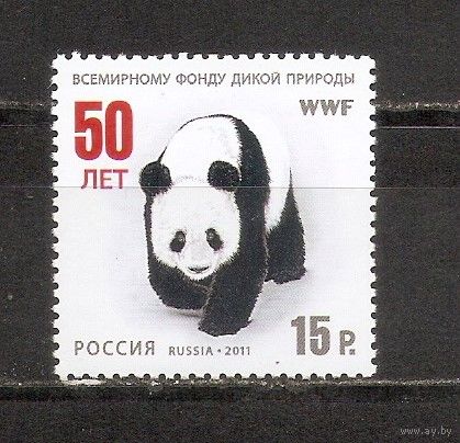 ФФ1 Россия 2011 Панда