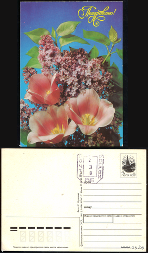 Открытка Поздравляем 1991
