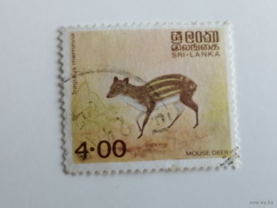 Шри Ланка 1981. Животные