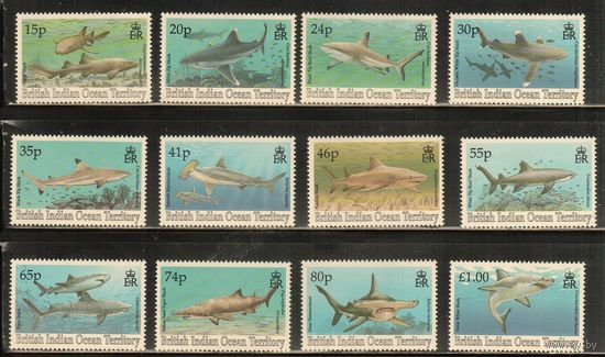 БИОТ(Британские территории  в Индийском Океане)-1994(Мих.158-169),  ** ,  Морская  Фауна , Киты, Акулы (полная серия)
