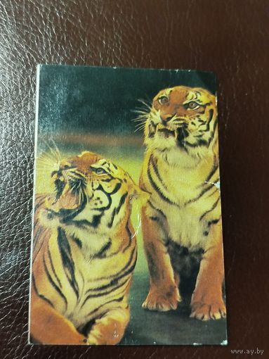 Календарь 1982 Цирк
