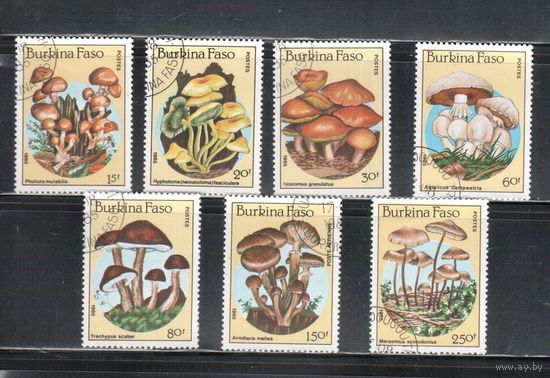 Буркина-Фасо-1985,(Мих.1054-1060) гаш. , Флора, Грибы (полная серия)