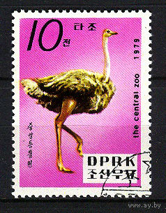 1979 КНДР. Страус