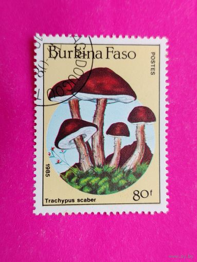 Буркина-Фасо. Грибы. ( 1 марка ) 1985 года. 2-4.