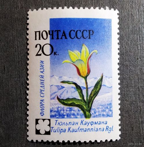 Марка СССР 1960 год Флора СССР