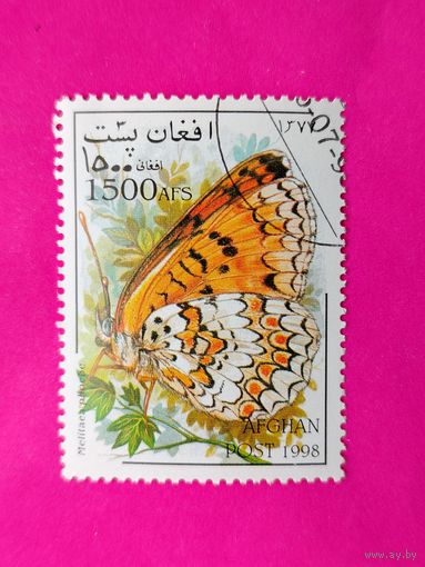 Афганистан. Бабочка. ( 1 марка ) 1998 года. 2-13.