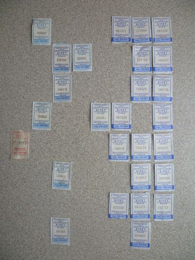 Билеты Борисов 2014, 2020 - 2024 гг.