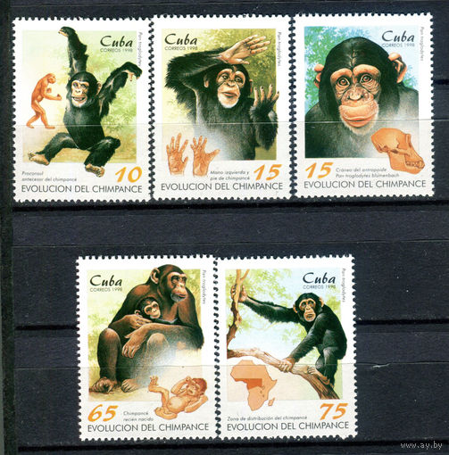 Куба - 1998г. - Шимпанзе - полная серия, MNH [Mi 4106-4110] - 5 марок