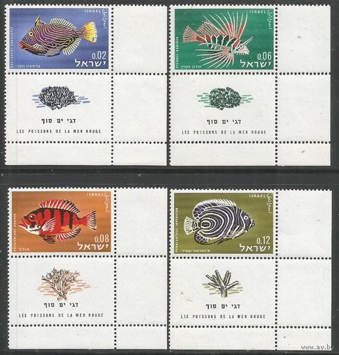 Израиль. Рыбы Красного моря. 1963г. Mi#291-94. Серия.