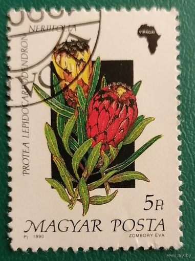 Флора Цветы 2 1990
