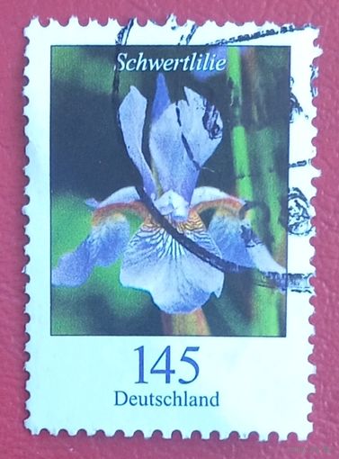 Германия, 2006 г., флора, Ирис