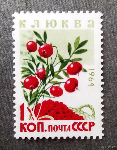 Марка СССР 1964 год Ягоды