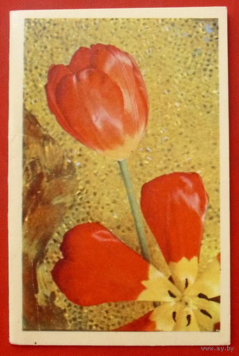 8 Марта! Подписанная. Двойная. 1971 года. Фото Березина. 564.