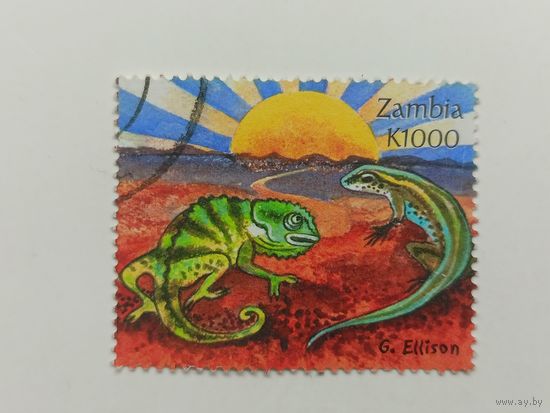 Замбия 2000. Легенды