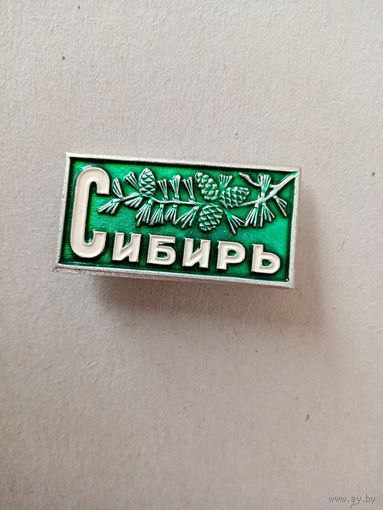 Значок сибирь (2)