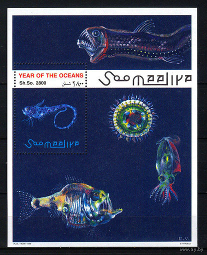 1998 Сомали. Международный год океана