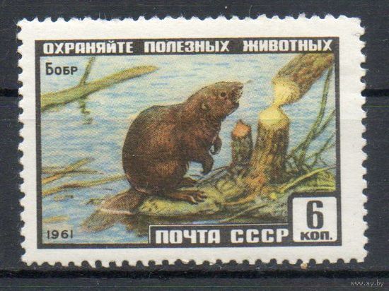 Фауна Бобр СССР 1961 год 1 марка