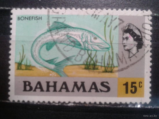 Багамы, колония Англии, 1971. Костяная рыба и королева Елизавета II