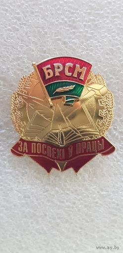 За успехи в труде БРСМ Беларусь