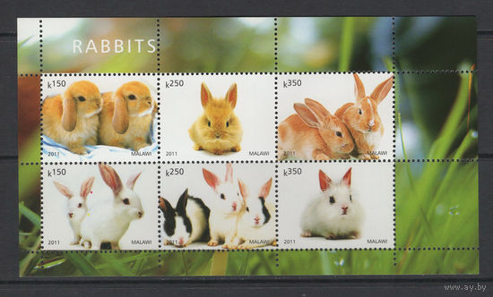 Малави 2011** Фауна Кролики