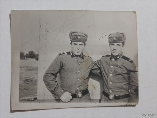 Фото в коллекцию